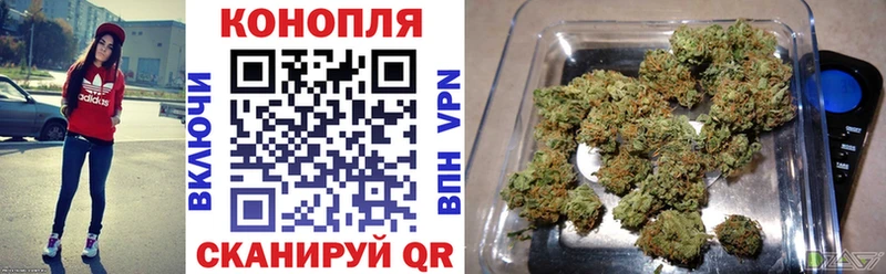 Шишки марихуана индика  Суровикино 
